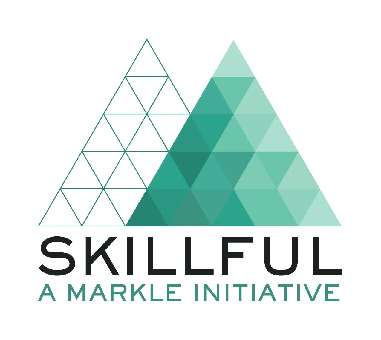 Скилфул. Skillful logo. Skillful 2nd Edition. Skillful и skilled разница. Skillful 1