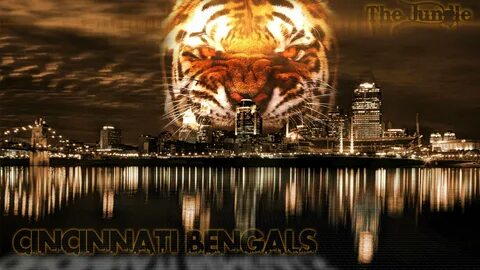 Download Free Cincinnati Bengals Backgrounds - PixelsTalk.Net.