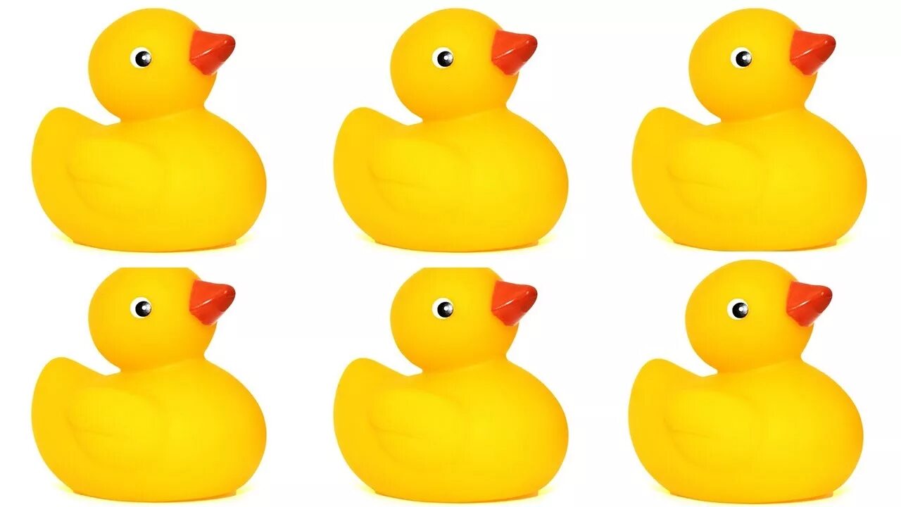 4 Ducks для детей. Toys for Kids Duck. Duckling for Kids. Утки игрушки резидент.