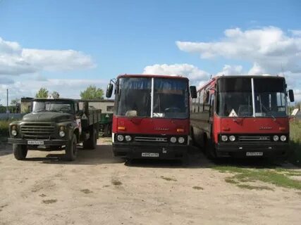 Автошкола автобусы