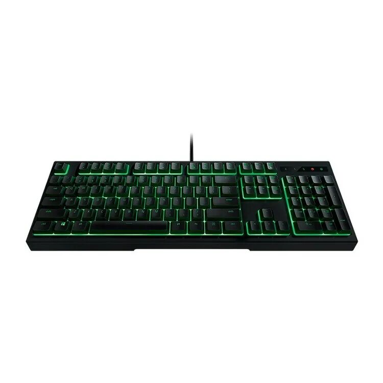 Ornata v3 отзывы. Клавиатура razer rz03. клавиатура razer ornata. клавиатура рейзер зеленая. клавиатура razer зеленая.