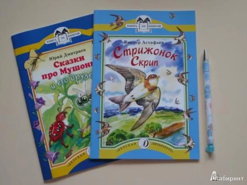 Читать рассказ скрип скрип. План Стрижонок скрип 4 класс. Астафьев в. "Стрижонок скрип". План Стрижонок скрип 4 класс 2 часть. Стрижонок скрип книга.