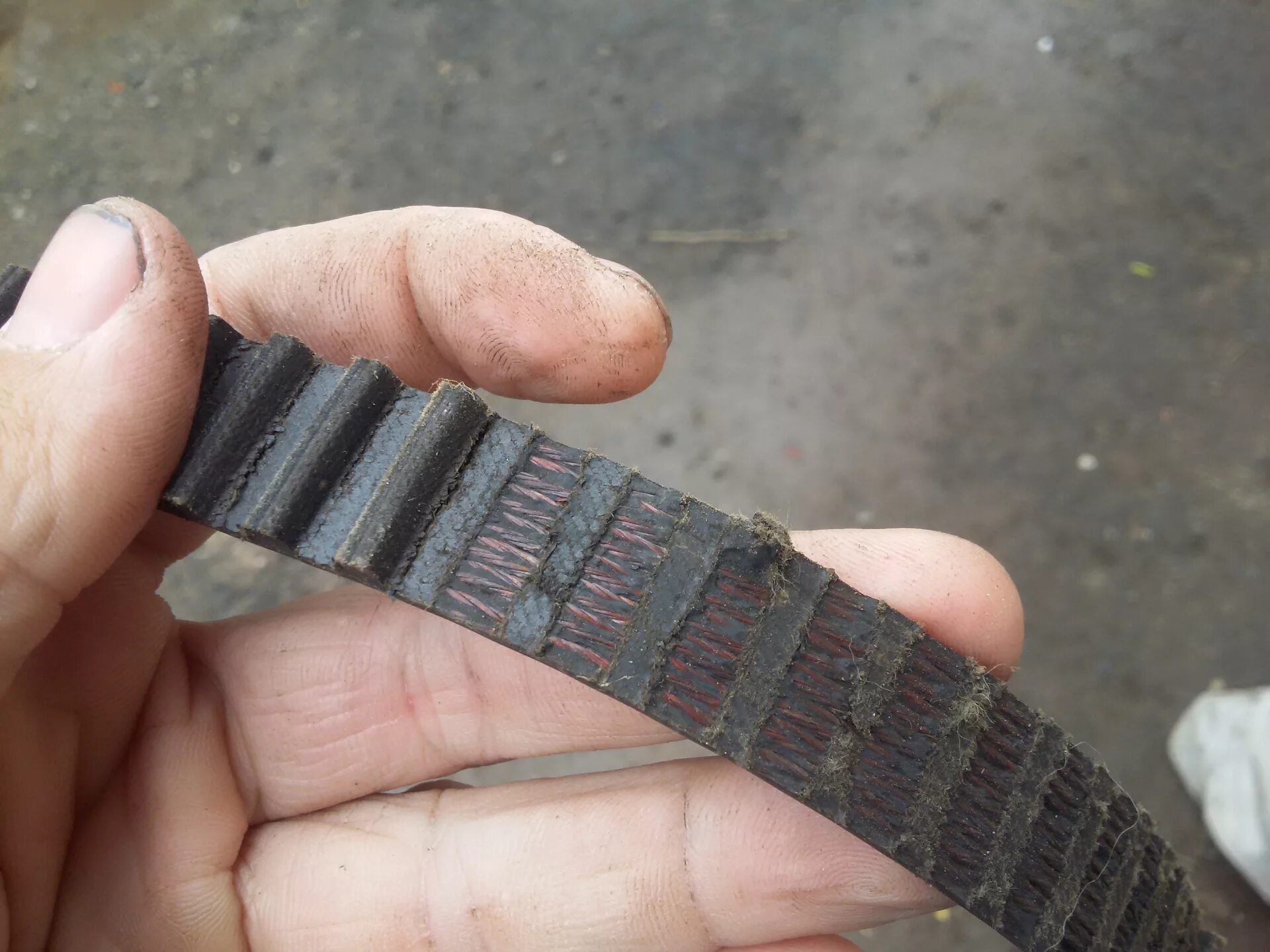 Ремень машины порвался. Вольво xc60 ремень генератора. Порванный ремень грм. Приводной ремень мазда 3. Приводной ремень грм.