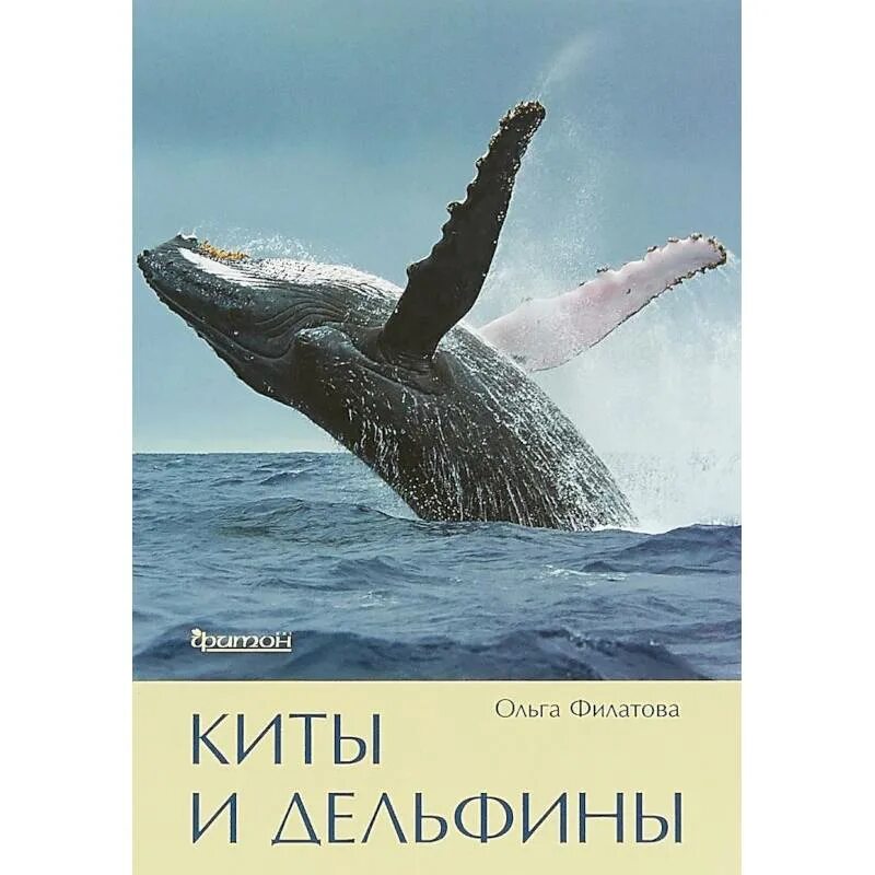 Книга про кита. Книга киты дельфины. Книги о китах и дельфинах для детей.