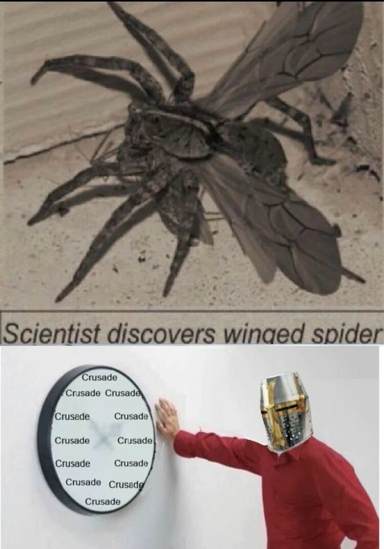 Scientists have discovered that being