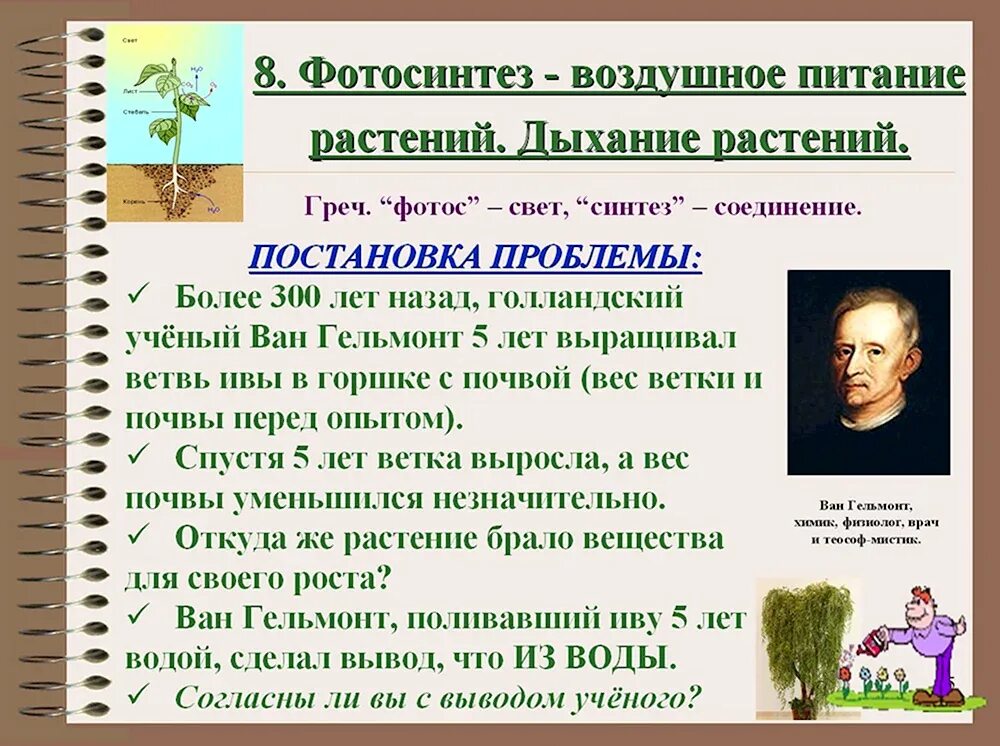 Воздушное питание фотосинтез 6 класс. Доклад на тему питание растений 6 класс по биологии. Фотосинтез питание растений биология 6 класс. Воздушное питание растений. Воздушное питание.