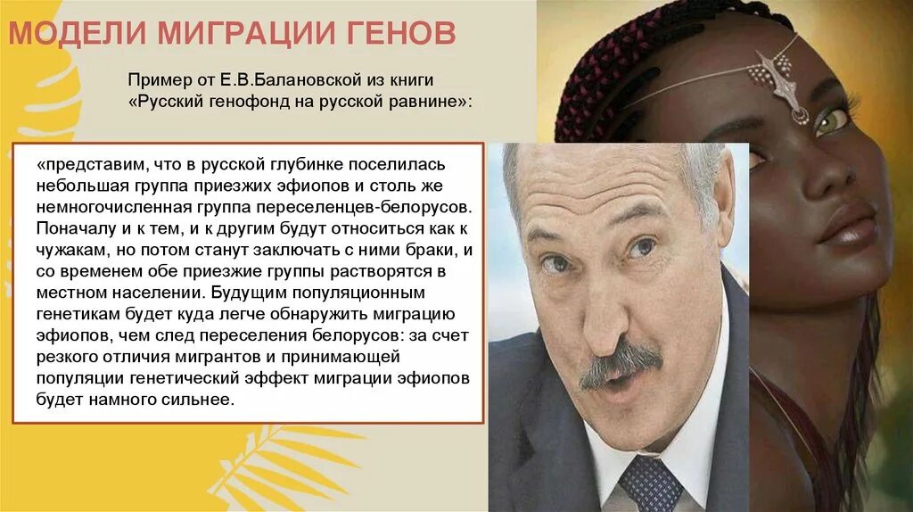 Модели миграции. Миграция генов. мигрирующий геном. миграция генов примеры. пример миграции гена.