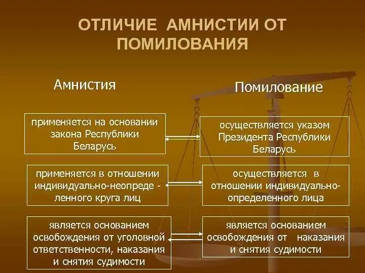 Амнистия чем отличается от