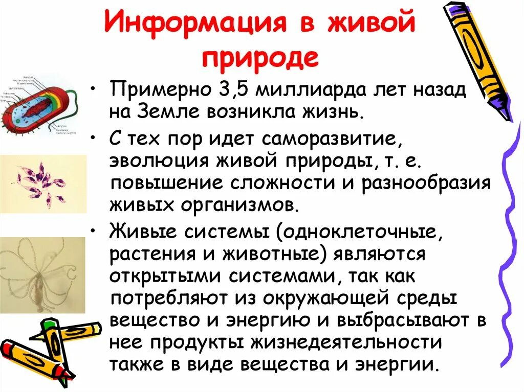 Примеры природной информации. Информация в живой природе. Информация о природе. Информация в живой природе Информатика. Информация в неживой природе Информатика.