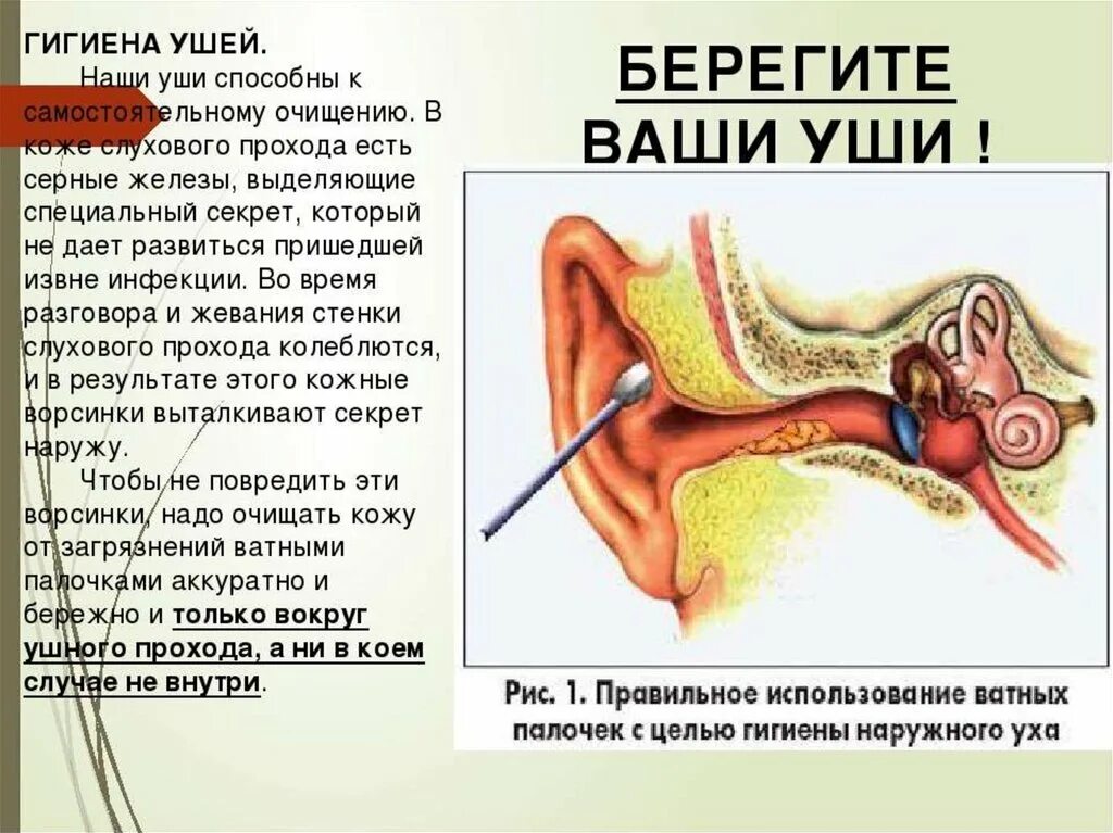 Сколько держать турунду в ухе. Памятка гигиена ушей. Памятка по гигиене уха. Гигиена органов слуха. Гигиена слуха ребенка.