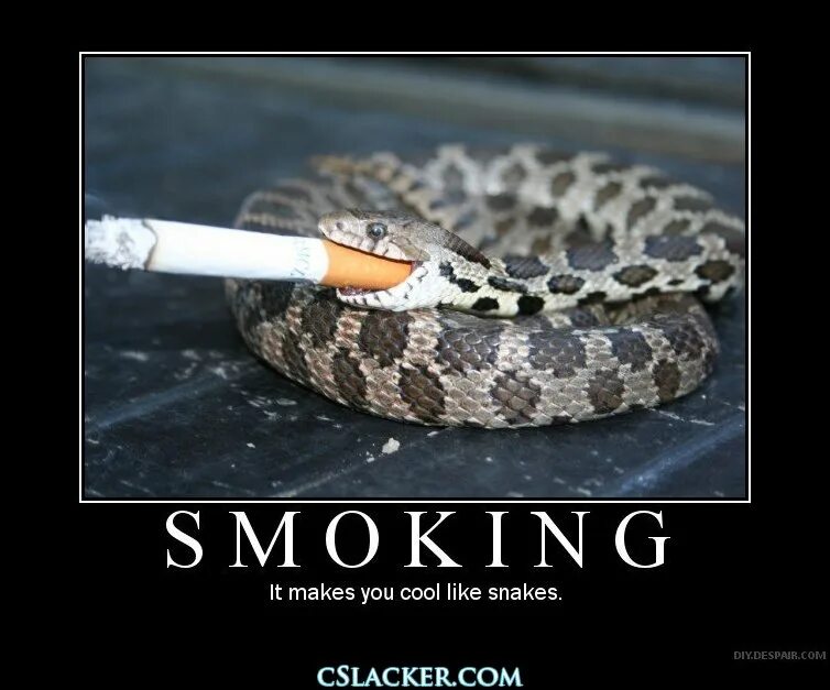 Smoke snake