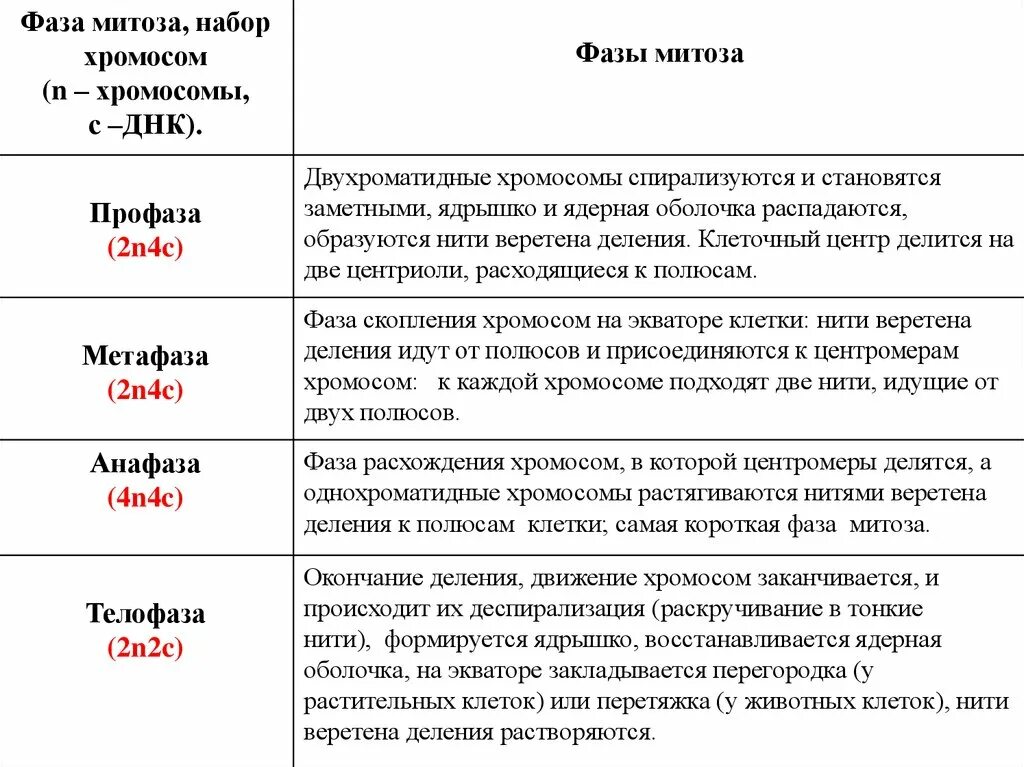 Хромосомный набор в стадиях митоза. Стадии мейоза формулы. Мейоз стадии таблица набор хромосом. Фазы мейоза 1 и 2 таблица.