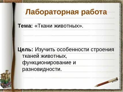 Лабораторная работа 1 ткани человека