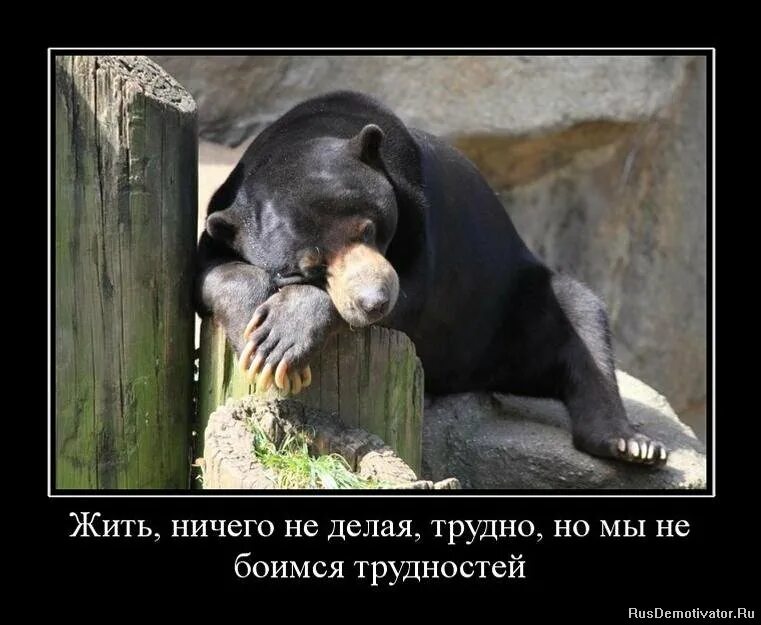 Трудно ничто. Трудно ничего не делать но мы не боимся трудностей. демотиваторы о трудностях. трудно жить. шутки про трудности.