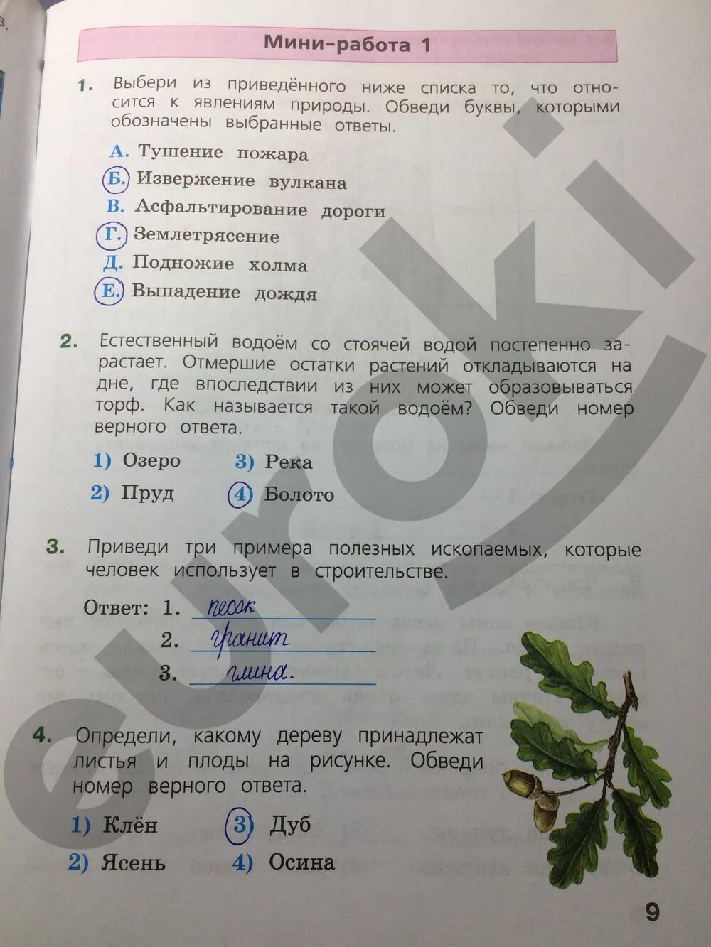 Впр окружающий мир 4 класс страница 61. Впр окружающий мир 2025. впр 4 класс окружающий мир 2025 с ответами. тетрадь впр 4 класс окружающий мир. впр окруж мир 4 класс с ответами.