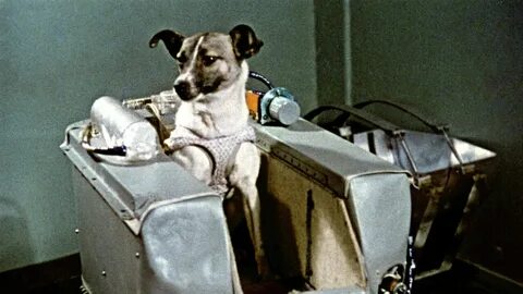 4 ноября 1957