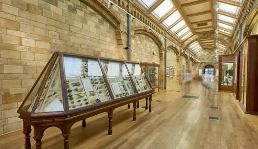 Museum exhibition design. Музеи москвы открытые в понедельник 2020. Интерьер выставочного пространства. Урбанистическое пространство. Работа детской зоны в музее.