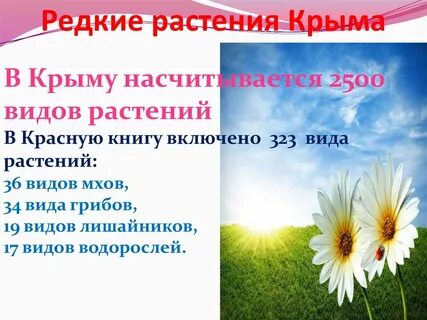 Растения крыма 2 класс