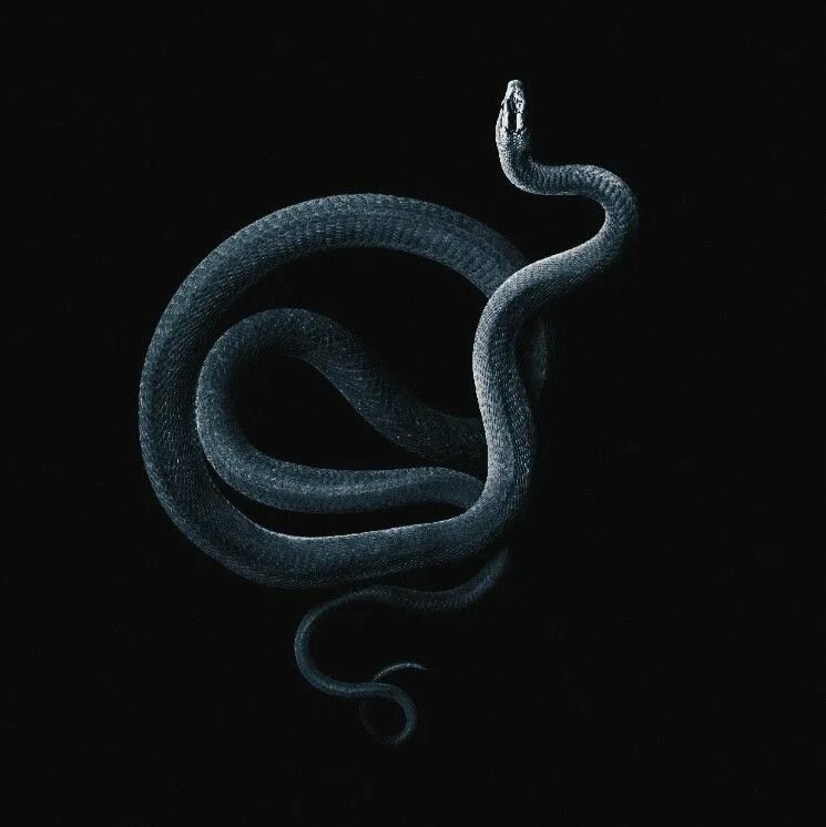 Smoke snake. Smoke snake