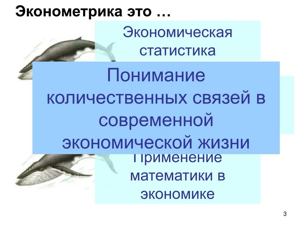 Эконометрика. Эконометрика это наука. Эконометрика как наука. Эконометрика это наука которая изучает. Экономическая эконометрика