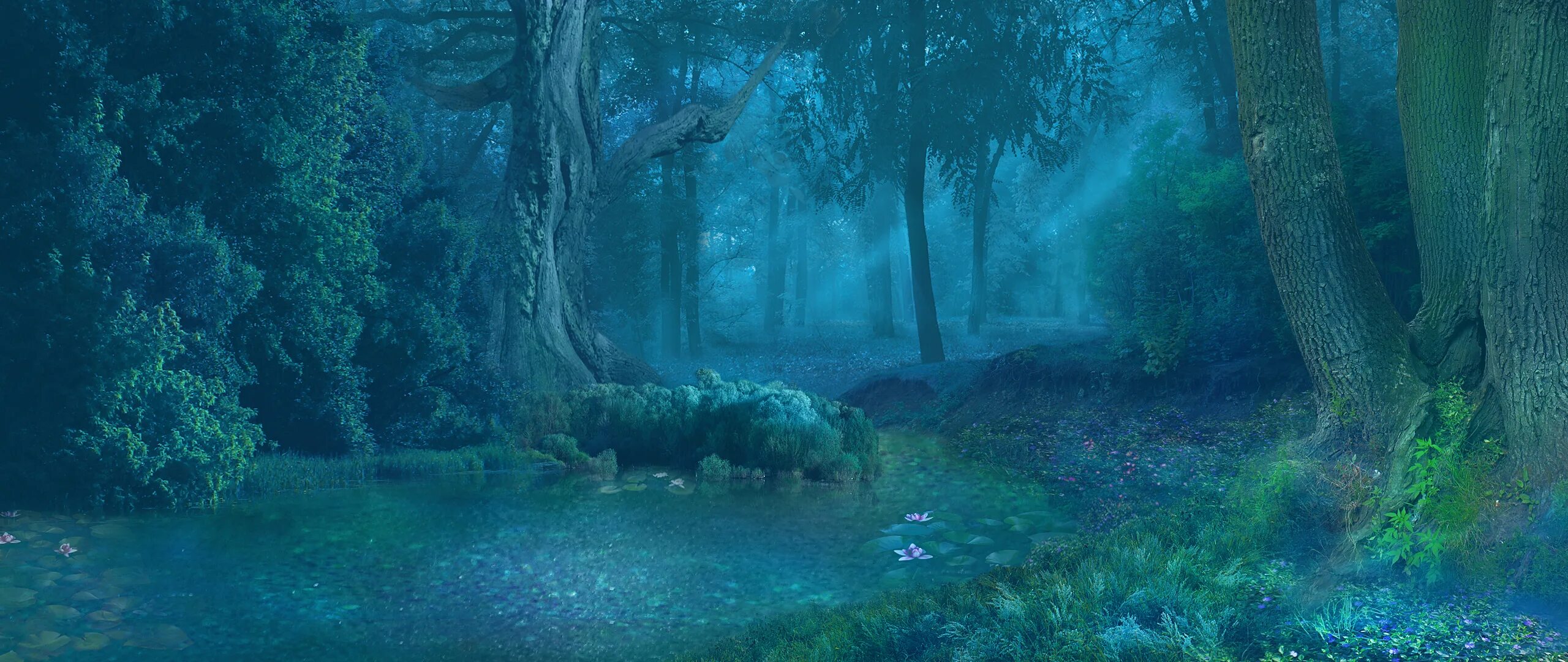 Enchanted forest. «зачарованный лес» («enchanted forest»). Волшебный лес. Enchanted forest. Фэнтези лес.