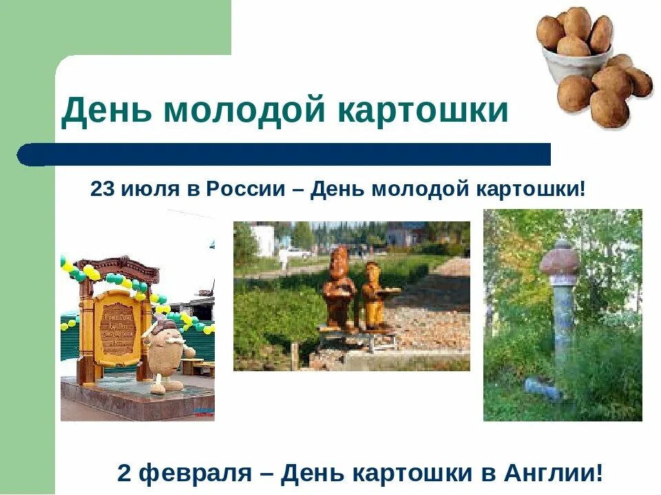 Праздник картошки. Праздник картофеля. Картофель. Праздник картошки афиша. Фестиваль картошки.