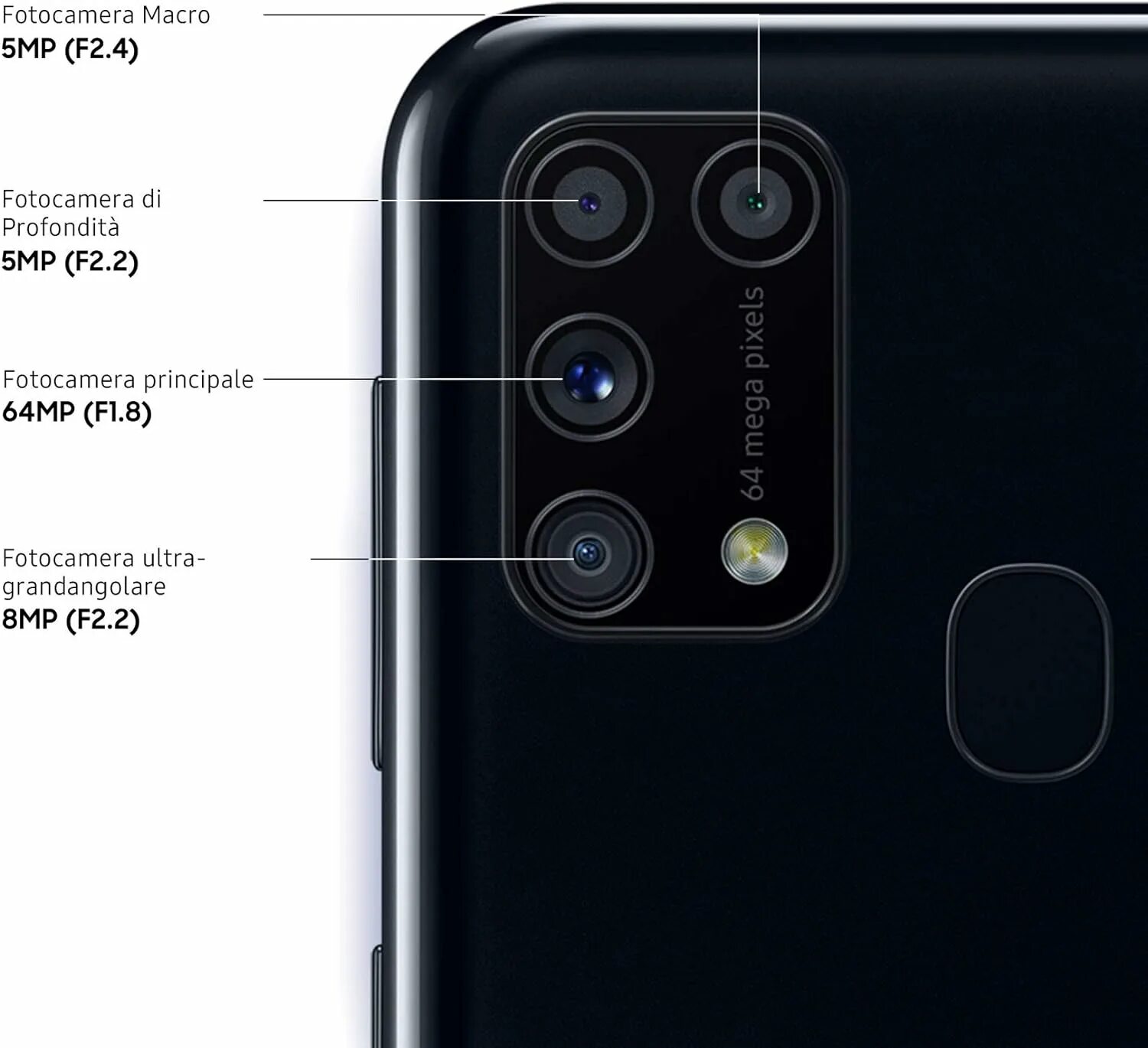 Samsung m31 s 128 гб. Samsung m31 128gb. Samsung samsung galaxy m31. Самсунг галакси m31. Samsung galaxy m31s.