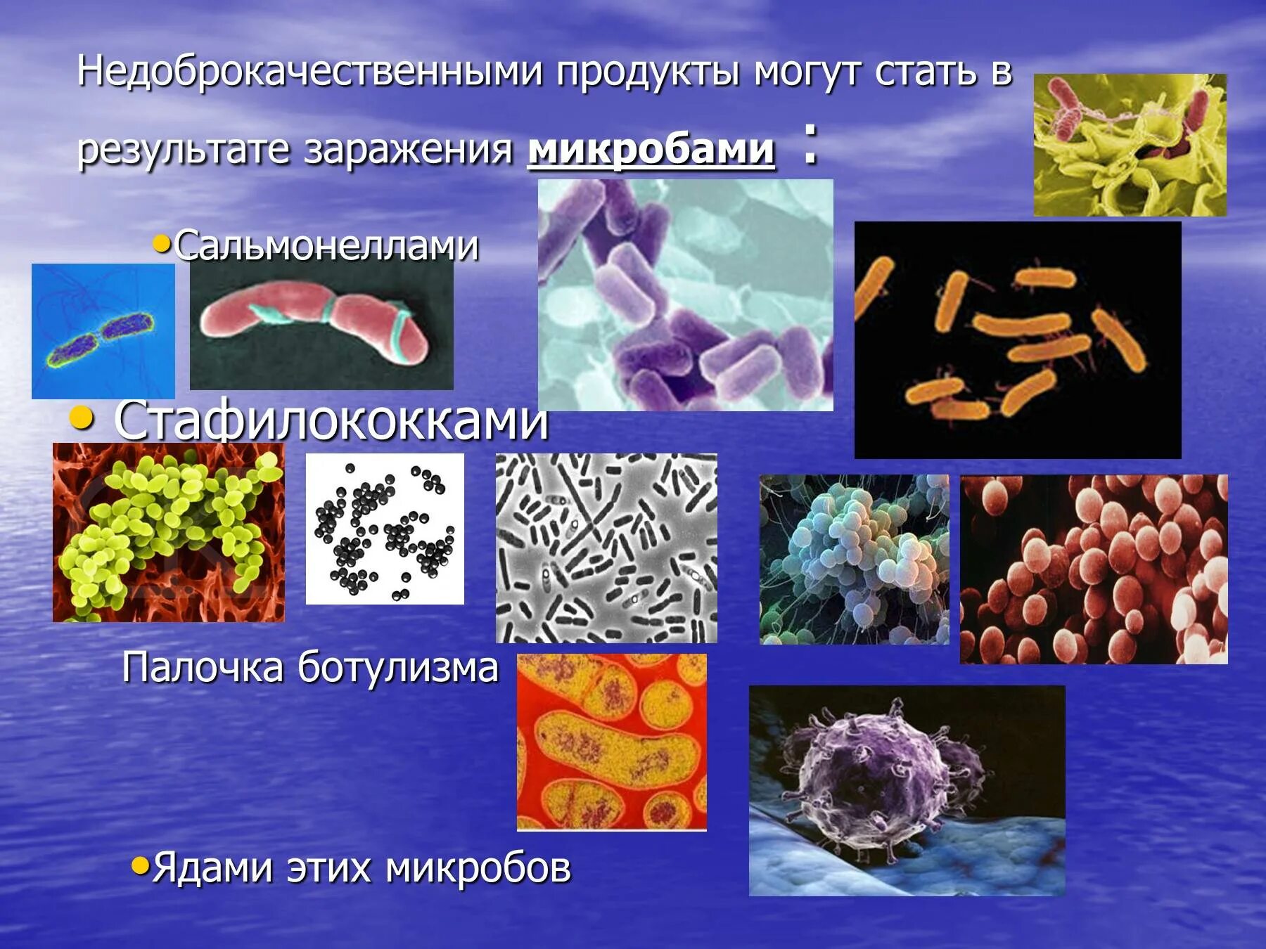 Заболевания вызванные различными бактериями. Пищевые отравления вызванные микроорганизмами. Микроорганизмы вызывающие пищевые токсикоинфекции. Пищевые отравления презентация. Бактерии вызывающие пищевое отравление.