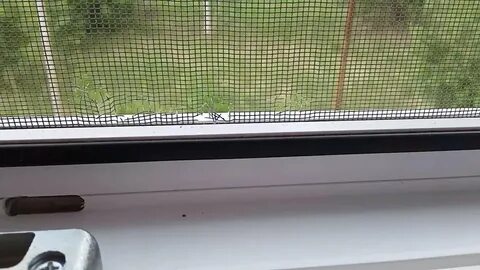 Сетка на окно своими руками