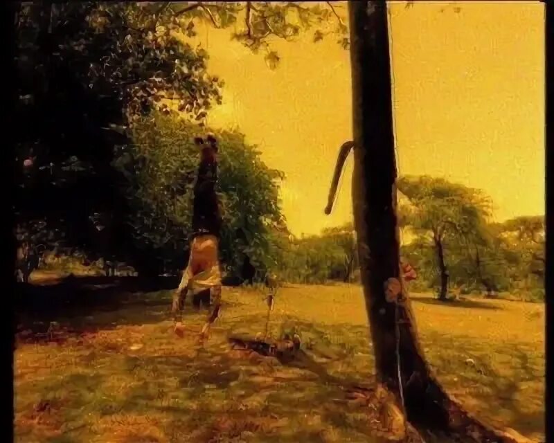 Вуду пипл клип. Prodigy voodoo people клип. the prodigy voodoo people 1994 клип. prodigy and pendulum voodoo people. prodigy voodoo people обложка.