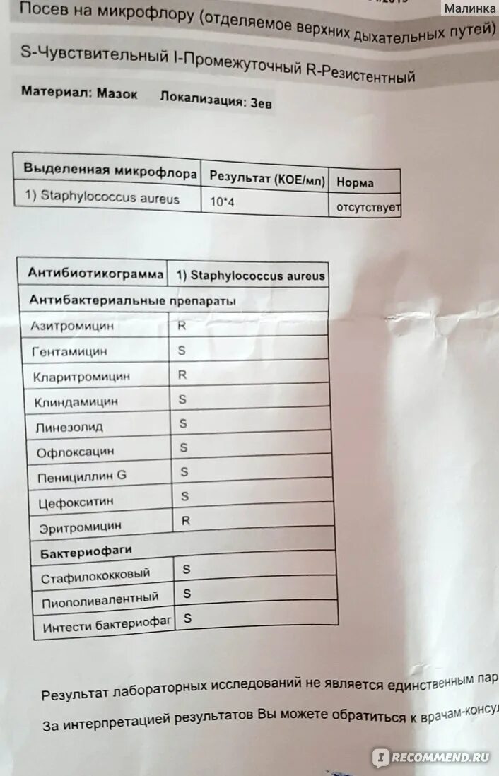 Можно сдавать анализы при приеме антибиотиков. Бак посев мазка норма. Анализ бакпосев на микрофлору и чувствительность к антибиотикам. Бак посев мазок расшифровка. Анализ мочи посев на микрофлору.