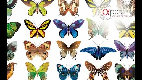 Қыздың үйдегі видеосы бар секс