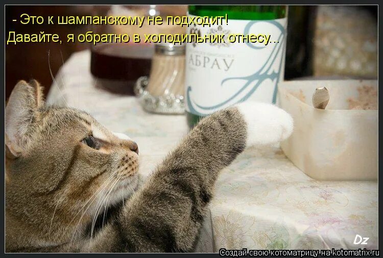Лето продолжается. Шутки про конец лета. Вот и лето пришло приколы. Даешь продолжение лета. Гиф лето продолжается.