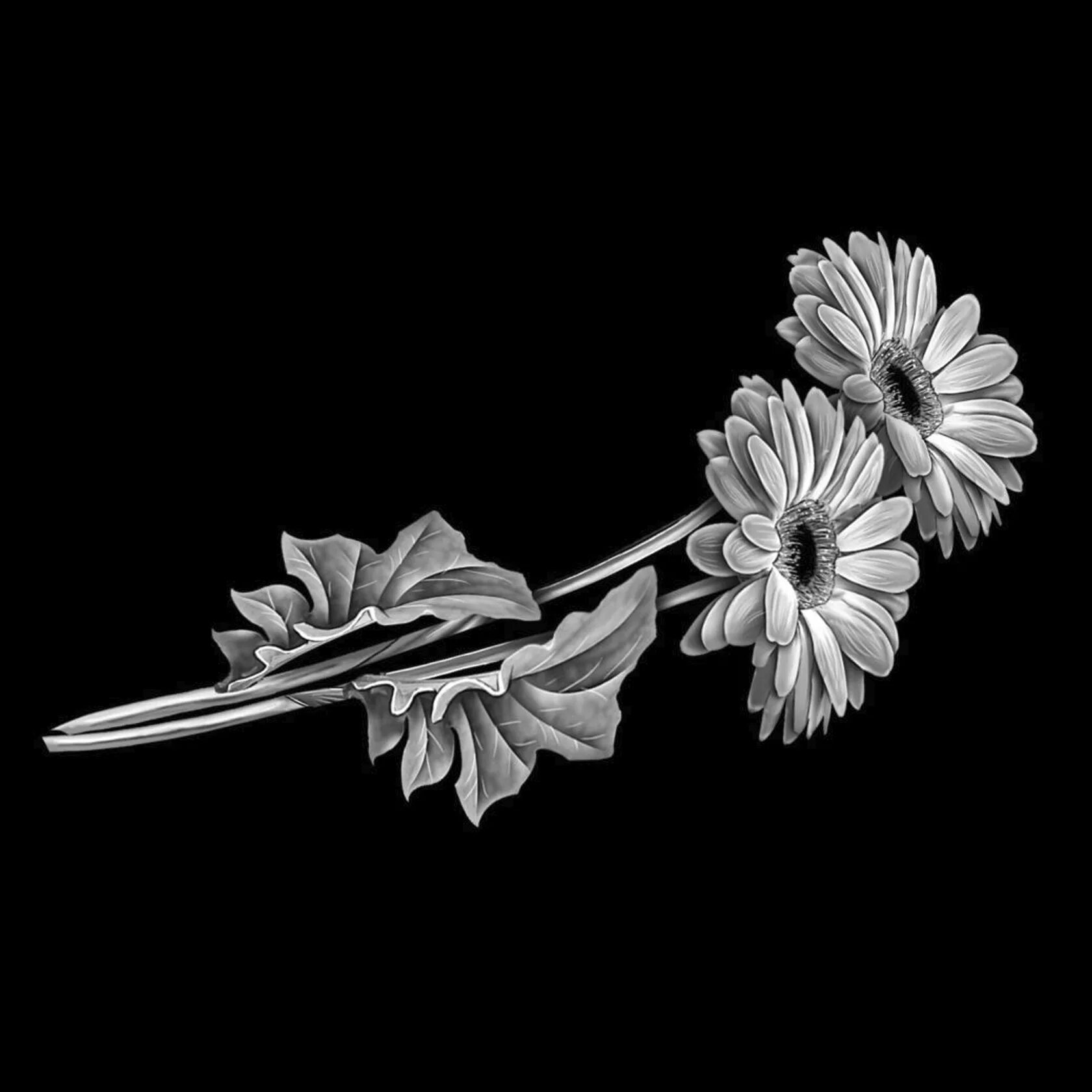 букет ромашек на памятник. ромашки на памятник. гравировка кустовая хризантема. ромашки на памятник гравировка. ромашки гравировка.