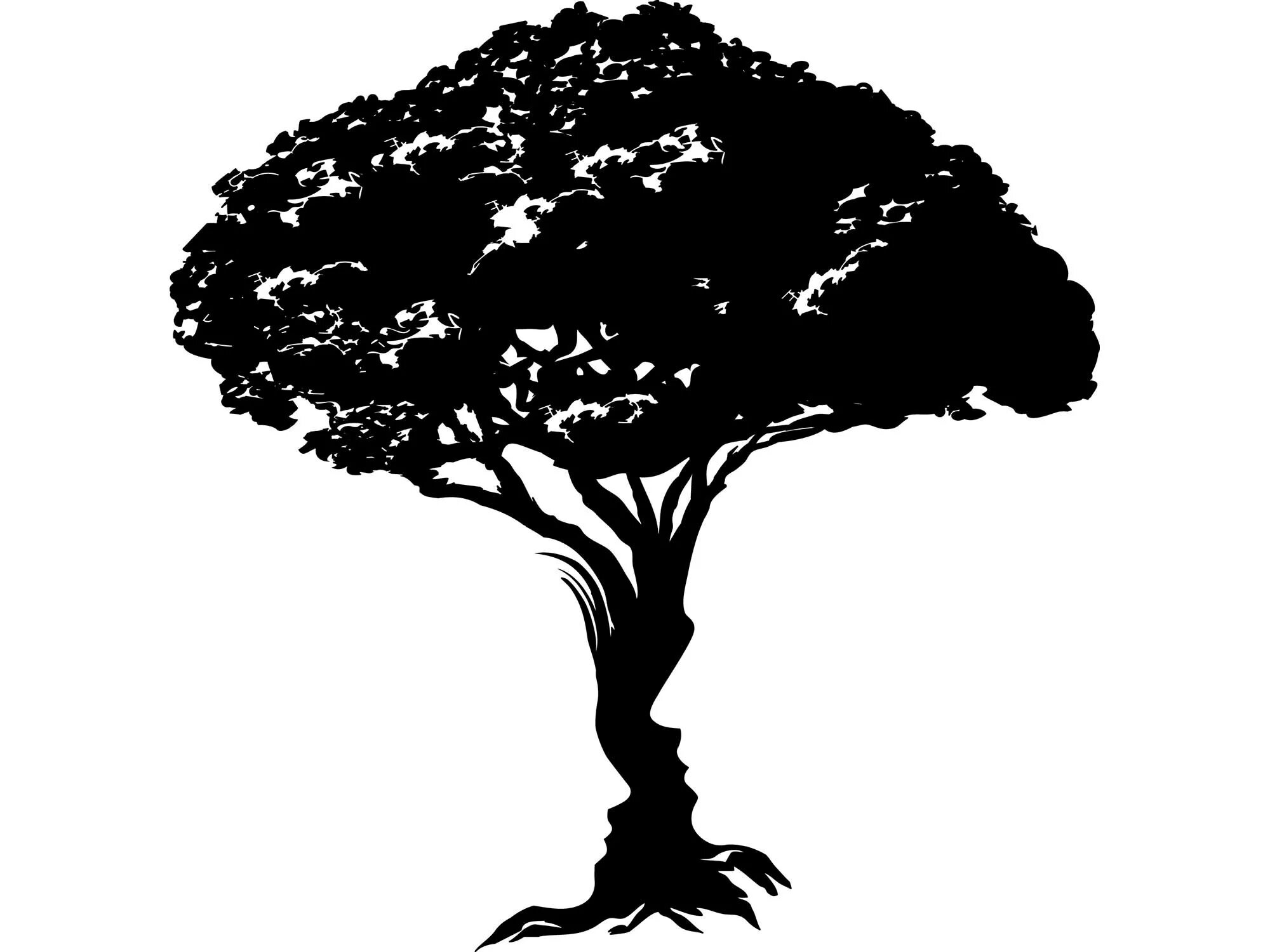 Картинки лицо дерево. Иллюзия дерево с лицами. Иллюзии восприятия дерево. Дерево с лицами тест. Двойное изображение дерева.