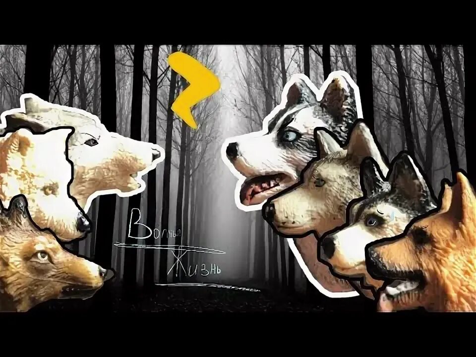 Волчья жизнь 3. Волчья жизнь 3