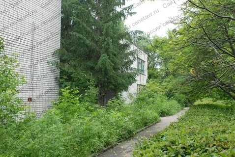 П лисадник