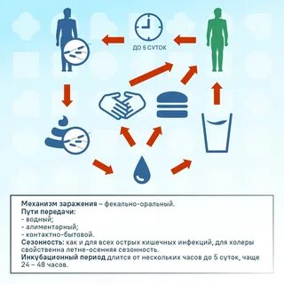 Как не заразиться кишечной инфекцией