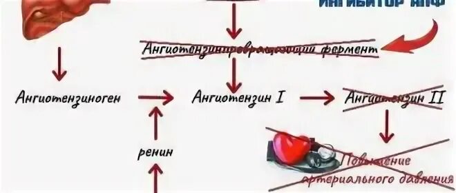 При каком давлении закладывает