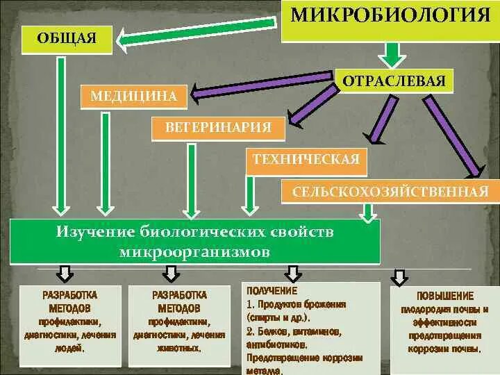 Приказы микробиологии. Приказы микробиологии