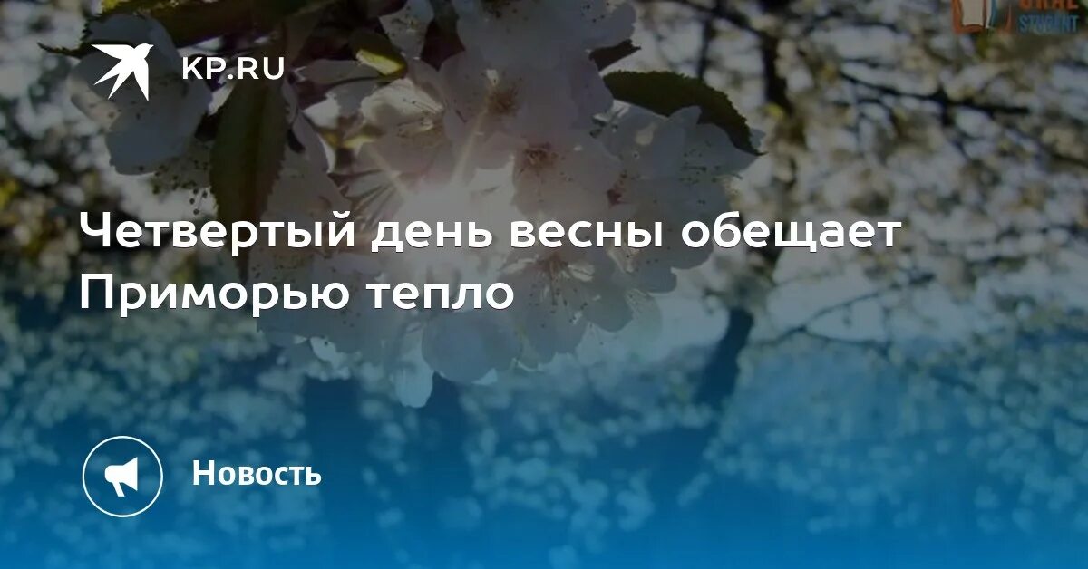 Погода на сегодня Уссурийск Приморский. Погода в Уссурийске на неделю Приморский край. Погода в Уссурийске на неделю. Погода в Уссурийске на 10 дней Приморский край.