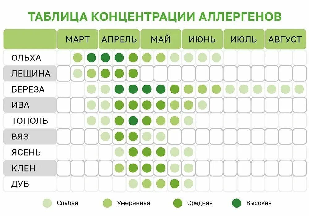 Сроки цветения березы. График цветения деревьев. Поллиноз периоды цветения. Календарь цветения. Календарь аллергика цветения растений-аллергенов.