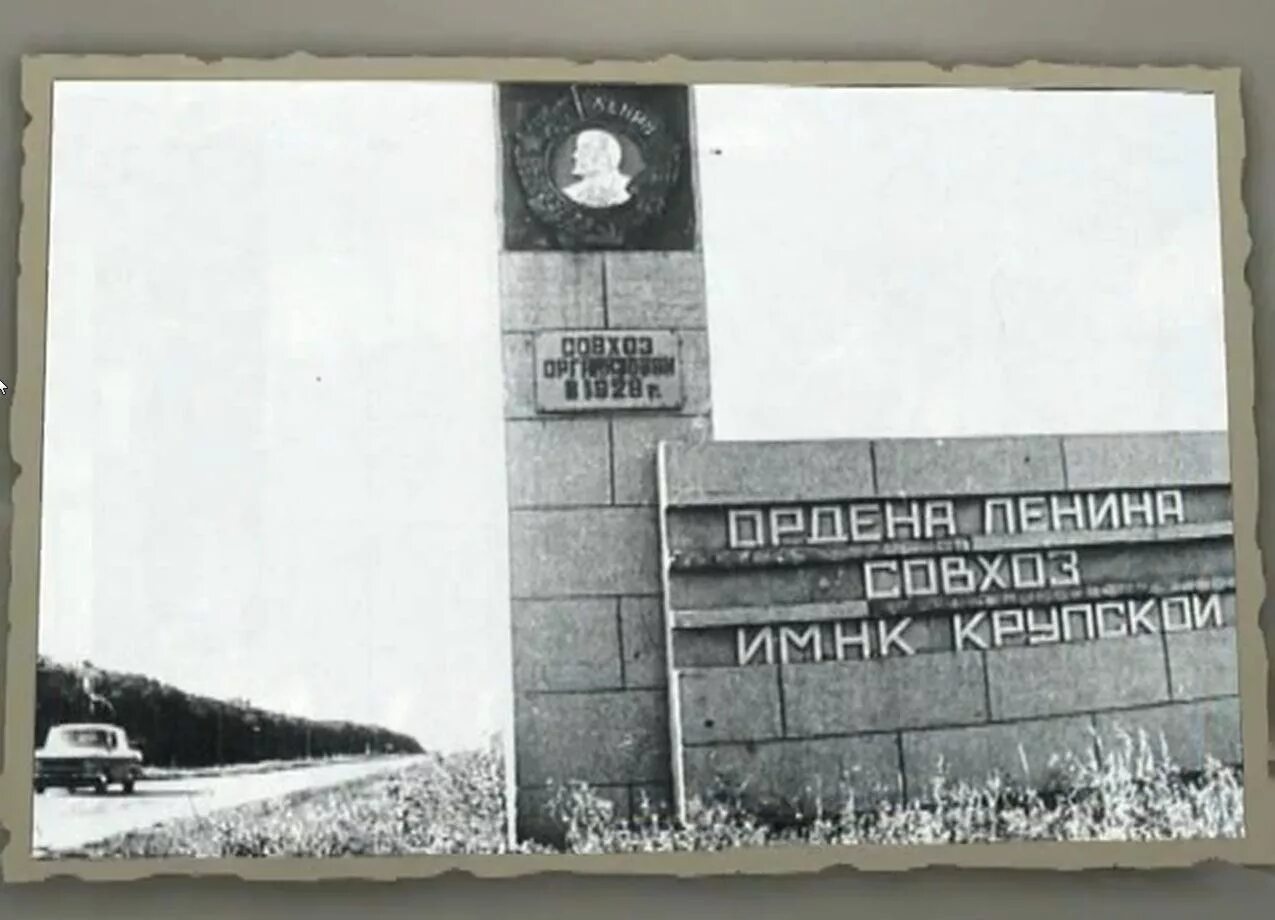 колхоз имени крупской крым. колхоз им. стелла колхоз. колхоз имени крупской. спк крупской ульяновская область.