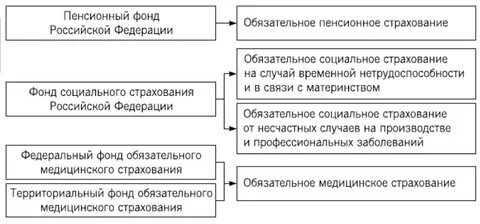 Виды государственных фондов обязательного страхования