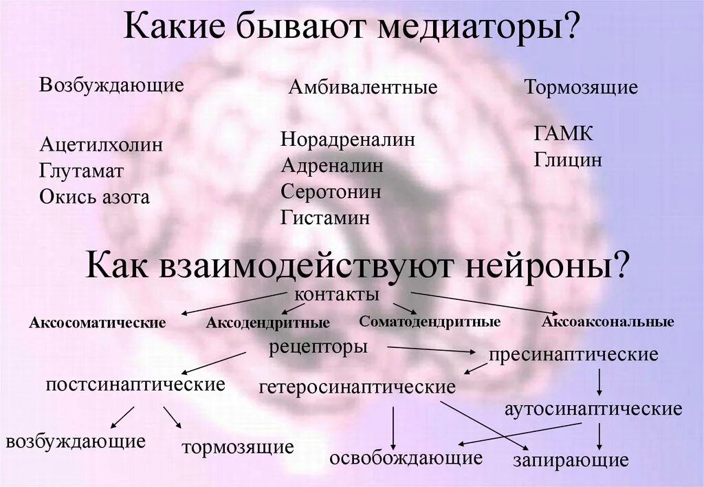 Серотонин является медиатором. Серотонин тормозящий нейромедиатор. возбуждающие и тормозящие медиаторы. гамк возбуждающий медиатор. гистамин медиатор возбуждения.