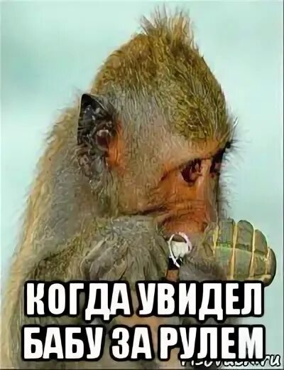 Вижу тетка