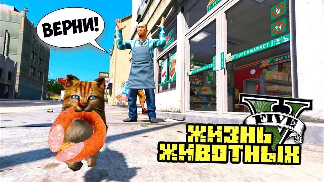 Гта 5 котик. Gta 5 кот. Гта 5 мультяшный кот. Гта 5 котик. Gta 5 кошка.