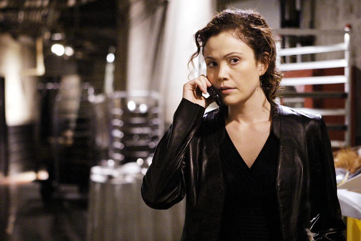 Series 24. Рейко Эйлсворт. Reiko Aylesworth. Мишель Десслер. Reiko Aylesworth 24.