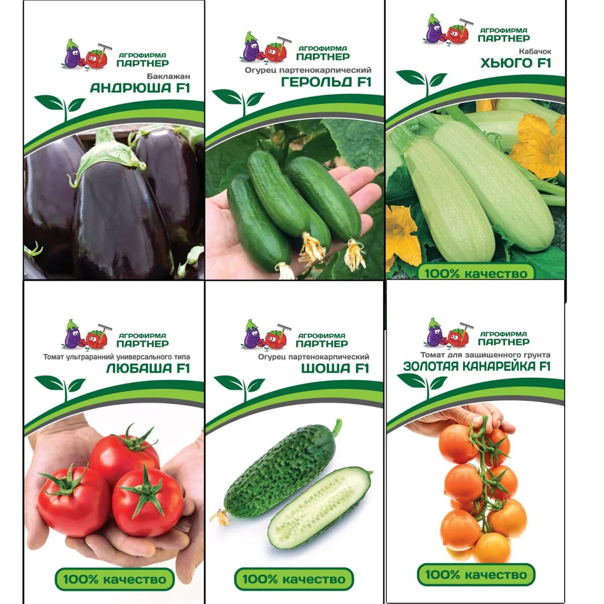 Агрофирма каталог. Семена партнёр интернет магазин каталог на 2022. Семена агрофирмы партнер огурцы и томат сорта. Земляника ремонтантная сашенька. Семена овощей.