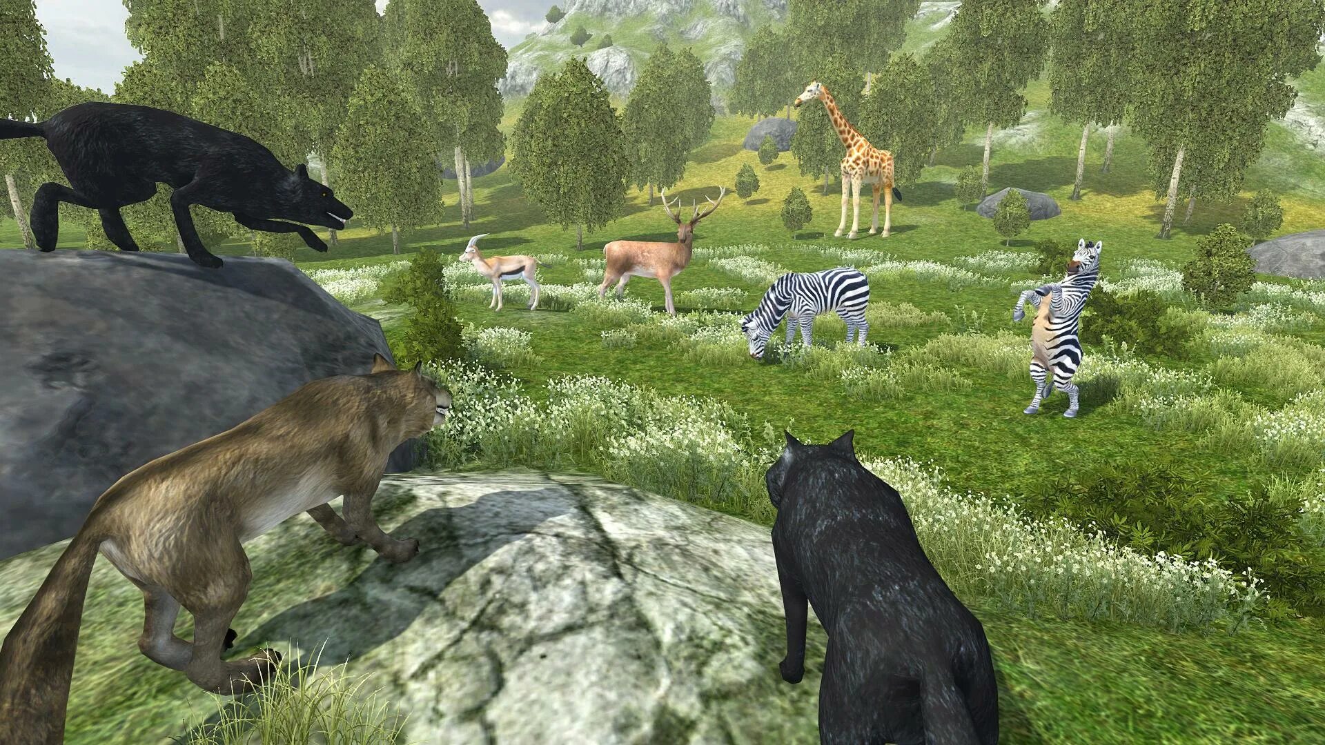 Wildlife Park 3 животные. Wildlife Park 2: заповедник. Wildlife Park 2 Долина лошадей. Wild Wolf игра. Wildlife на русском